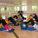 Physio -powerflex